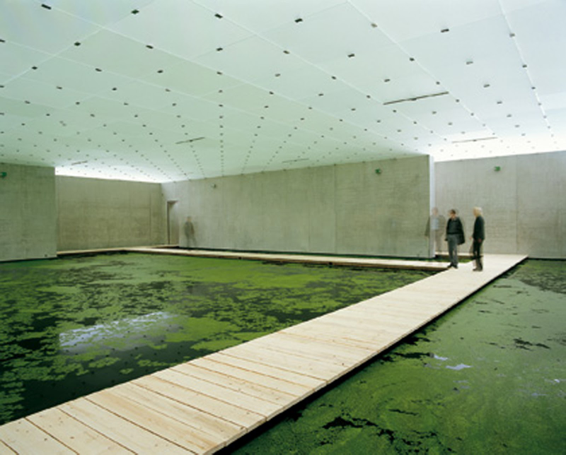 Illustration for article titled 8 Ethereal Weather Installations That Recreate Fog, Snow, and Storms